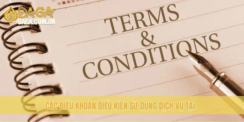 Điều Khoản Điều Kiện - Những Quy Định Cần Biết Tại Daga 2 Các điều khoản điều kiện sử dụng dịch vụ tại