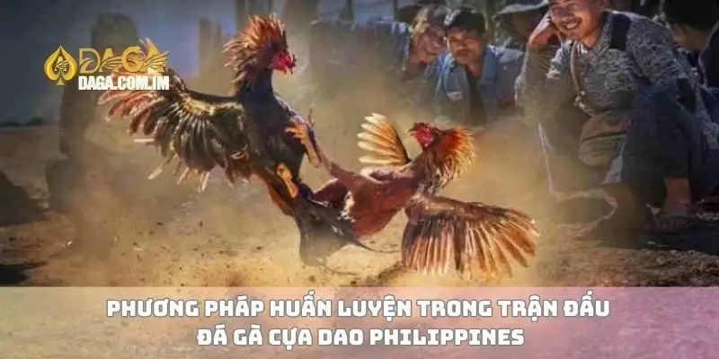 Đá gà cựa dao Philippines và các yếu tố quan trọng cần hiểu 3 Phương pháp huấn luyện trong trận đấu đá gà cựa dao Philippines