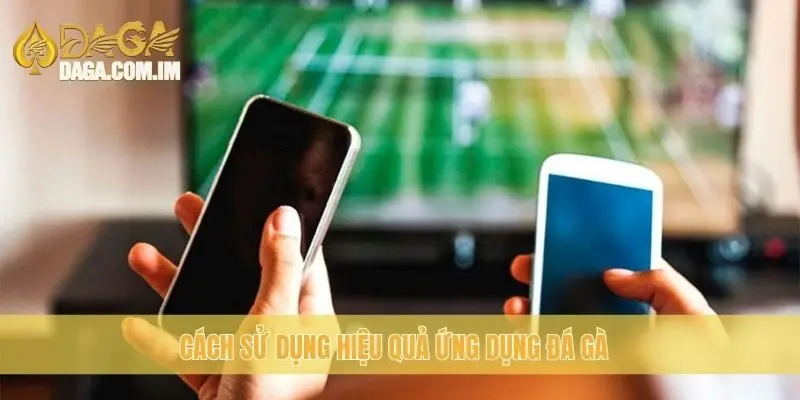 Tải APP Daga: Cách Cài Đặt và Sử Dụng Hiệu Quả Nhất 3 Cách sử dụng hiệu quả ứng dụng đá gà